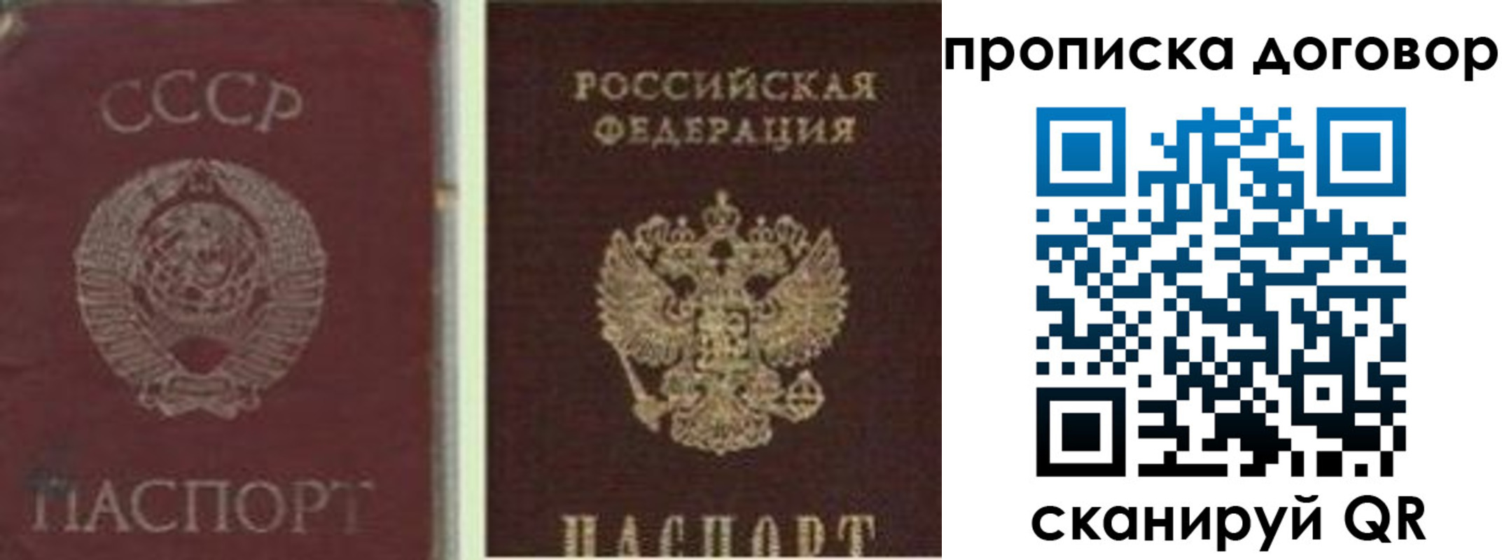 прописка гарантия в Долгопрудном